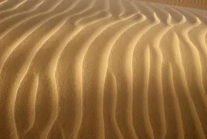 Sahara Desert Landscape Drucke: Sand ripples, surface of a dune