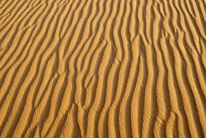 North Africa Landscapes Drucke: Sand ripples, surface of a dune