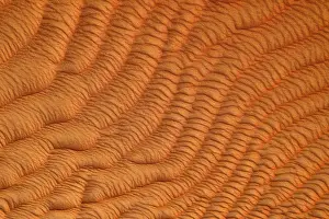 North Africa Nature Scene Drucke: Sand ripples, texture on a sanddune