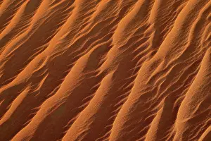 Sahara Desert Surface Structure Drucke: Sand ripples, texture on a sanddune