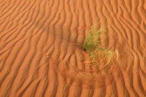 North Africa Sand Dunes Drucke: Sand ripples, texture on a sanddune
