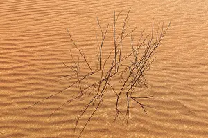 Rub Al Khali Desert Drucke: Sand structure formed by the wind