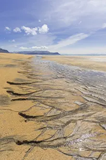 Northern Europe Beach Scene Drucke: Sand structure with ripple at low tide