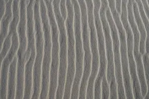 Lower Saxony Exterior View Drucke: Sand structure, wind ripples, beach, Denmark