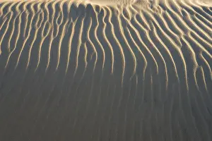 Denmark Beach Drucke: Sand structure, wind ripples, beach, Denmark