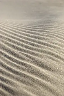Scandinavian Nature Scene Drucke: Sand structures, created by waves and wind