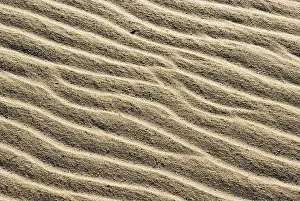 Scandinavian Nature Scene Drucke: Sand structures, created by waves and wind