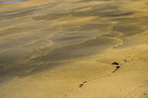 Icelandic Island State Drucke: Sand Structures, Rauoasandur