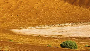 Empty Quarter Sand Dunes Drucke: Sand structures shaped by the wind