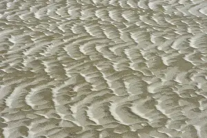 Wadden Sea Shoreline Drucke: Sand surface formed by wind and tidal current in the mud flats
