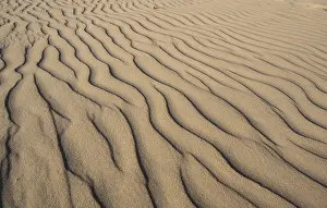 Lower Saxony Coastline Drucke: Sand with wave pattern, Juist Island