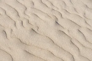 Wavy Sand Patterns Drucke: Sand with wavy patterns, Norderney