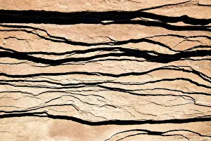 Deserted Canyon Landscape Drucke: Sandstone rocks, structure, detail