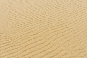 No People Beach Scene Drucke: Sandwaves in the sand on the beach