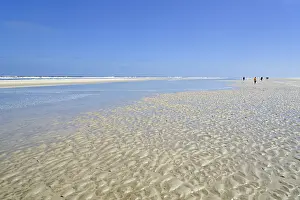 Sandy Beach Low Tide Drucke: Sandy beach beach at low tide with wave-like pattern