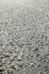 East Frisian Islands Drucke: Sandy beach beach at low tide with wave-like pattern