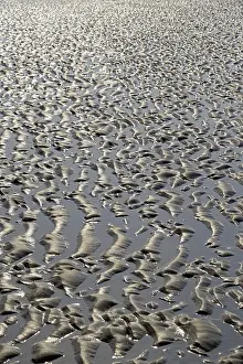 Sandy Ocean Beach Germany Drucke: Sandy beach beach at low tide with wave-like pattern