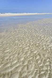 Coastal Area Lower Saxony Germany Drucke: Sandy beach beach at low tide with wave-like pattern