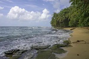 Central America Nature Drucke: Sandy beach beach with palm trees
