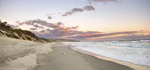 Otago Peninsula Landscape Drucke: Sandy beach beach at sunset, Saint Clair Beach