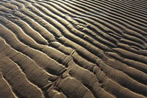 Benelux Coastal Scene Drucke: Sandy beach beach with wavy lines