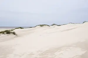 Amrum Island Drucke: Empty sandy beach, dune landscape