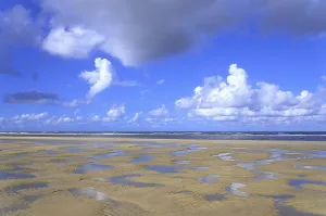 Sandy Beach At Low Tide Drucke: Sandy beach at low tide, wavy pattern