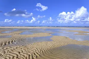 Sandy Beach At Low Tide Drucke: Sandy beach at low tide, wavy pattern