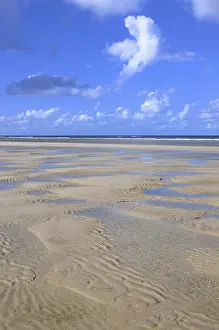 Sandy Beach At Low Tide Drucke: Sandy beach at low tide, wavy pattern