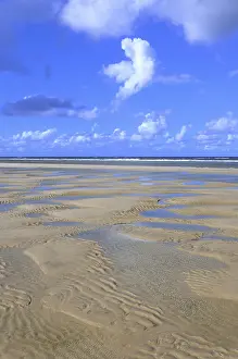 Sandy Beach At Low Tide Drucke: Sandy beach at low tide, wavy pattern