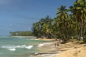 Tropical Sandy Beach Drucke: Sandy beach with palm trees in Las Terrenas