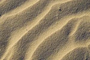 Southeast Asian Coastline Drucke: Sandy beach with structures, formed from wind