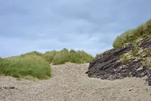Deserted Scottish Coastline Drucke: Sandy path between grassy dunes under cloudy sky