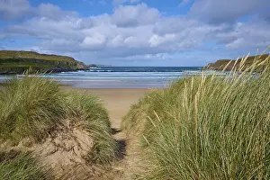 Deserted Dunes Drucke: A sandy path leads through the dunes to a wide