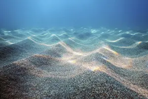 Underwater World Scene Drucke: Sandy Sea Bottom Underwater Background