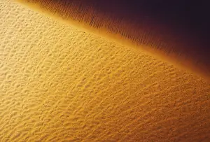 African Nature Reserves Drucke: The sandy shore of a freshwater marsh
