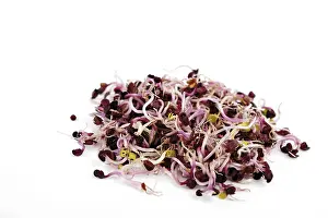 Balanced Diet Grocery Images Drucke: Sango seedlings