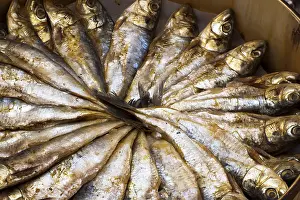 Drucke von Sardines Sardine Drucke: Sardines