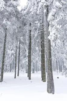 European Winter Scene Drucke: Sauerland in winter