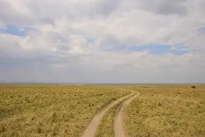 Kenya Savannah Landscape Drucke: Savannah landscape with path and cloudy sky