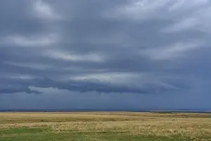 Savannah Landscape Drucke: Savannah landscape with thunderstorm clouds