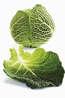 Balanced Diet Food Photography Drucke: Savoy
