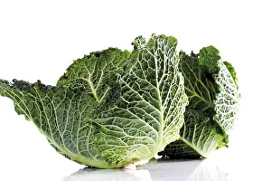 Savoy Cabbage Nutrition Drucke: Savoy cabbage