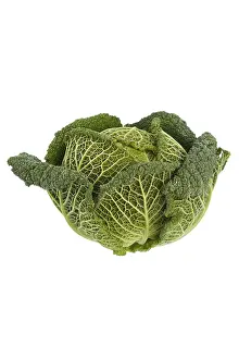 Savoy Cabbage Drucke: Savoy cabbage, studio shot against a white background