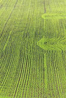 Rural Agricultural Landscape Drucke: Saw field with patterns in spring