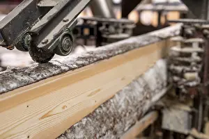 Industrial Building Drucke: At sawmill. Image of cut wood using machine