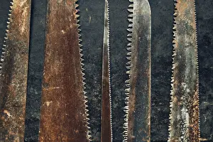 Rusty Tools Drucke: Saws on metal surface. Rusty tools for maintenance