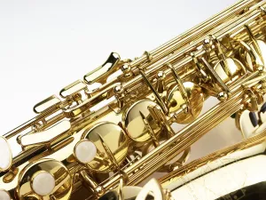 Wind Instrument Drucke: Saxophone in front of white background