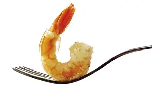 Seafood Delicacy Drucke: Scampi on a fork