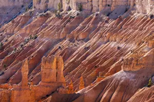 US National Park Scenery Drucke: Scenic View of Bryce Canyon